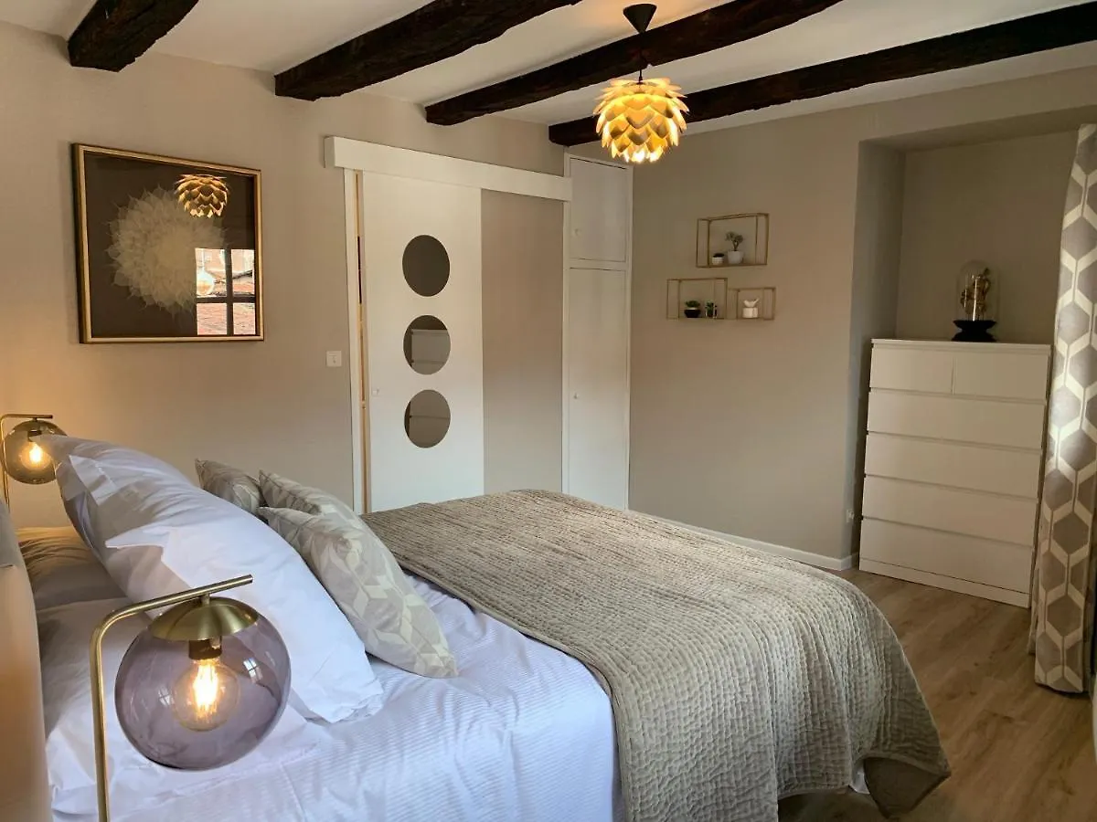Cathedrale Appart Albi Apartment