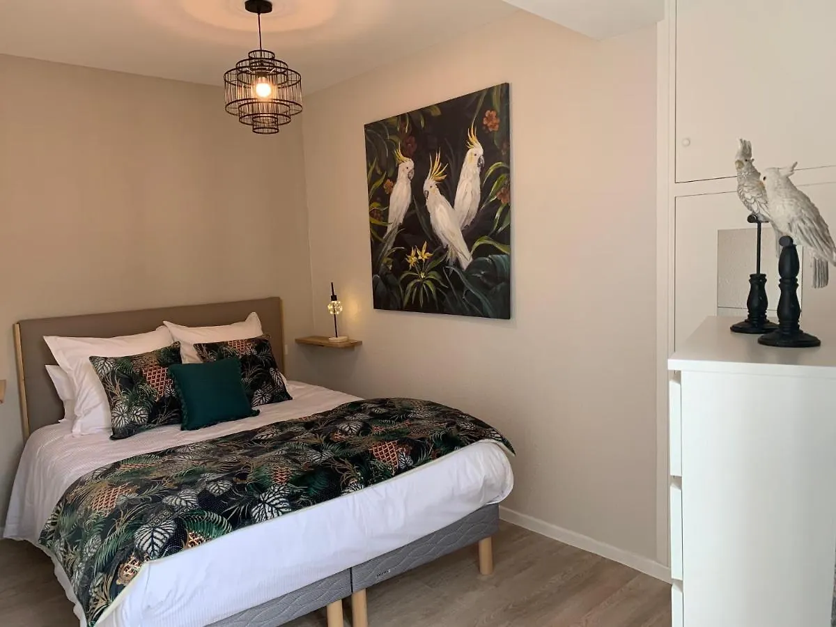 Apartment Cathedrale Appart Albi France
